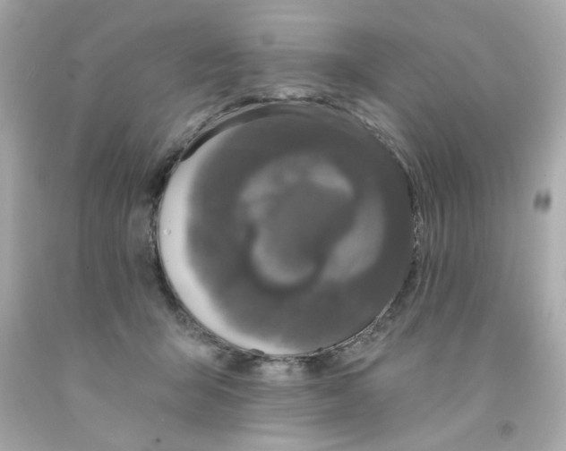X0000093130415200710241326