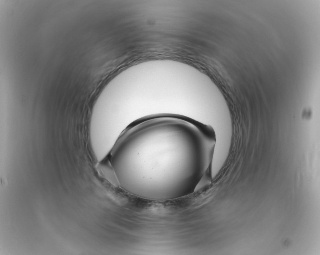 X0000093130416200710241326