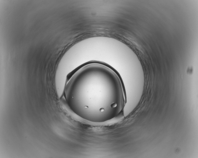 X0000093130417200710241326