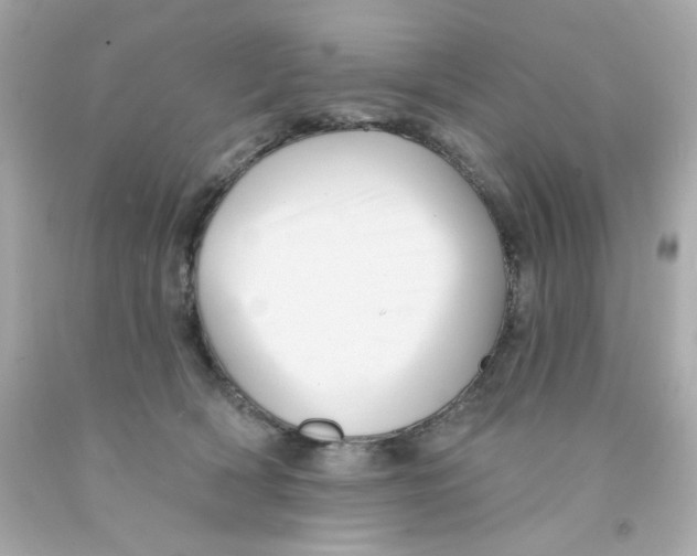X0000093130418200710241326