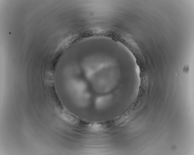 X0000093130419200710241326