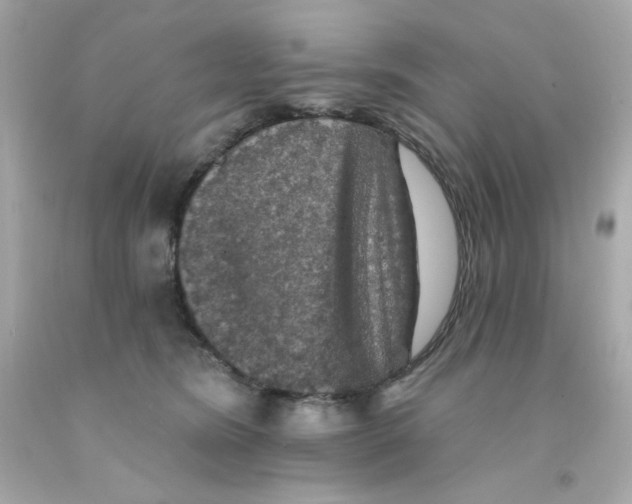 X0000093130420200710241326