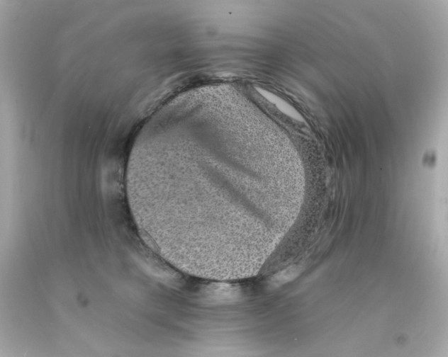 X0000093130421200710241326