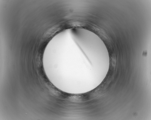 X0000093130422200710241326