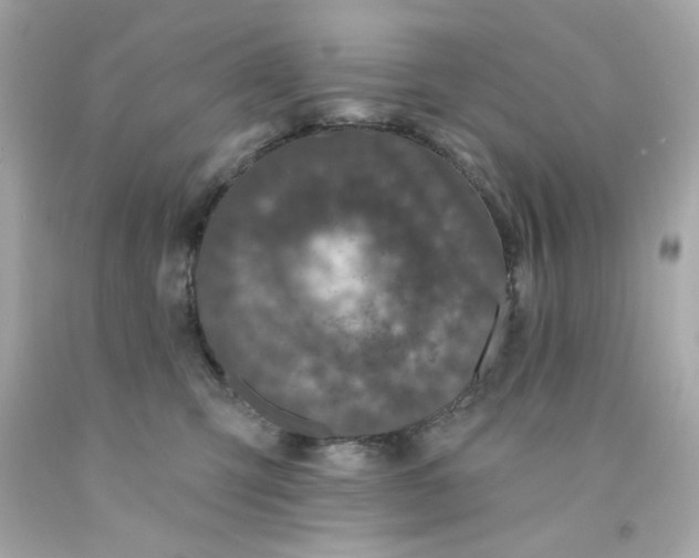 X0000093130423200710241326