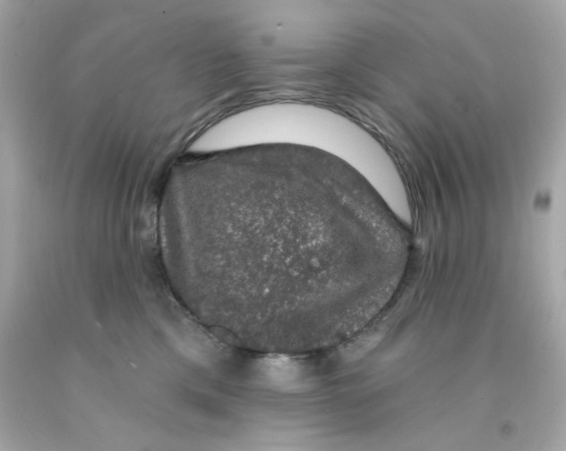 X0000093130425200710241326
