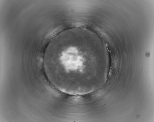 X0000093130427200710241326