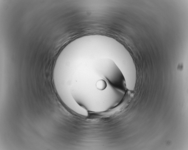 X0000093130428200710241326