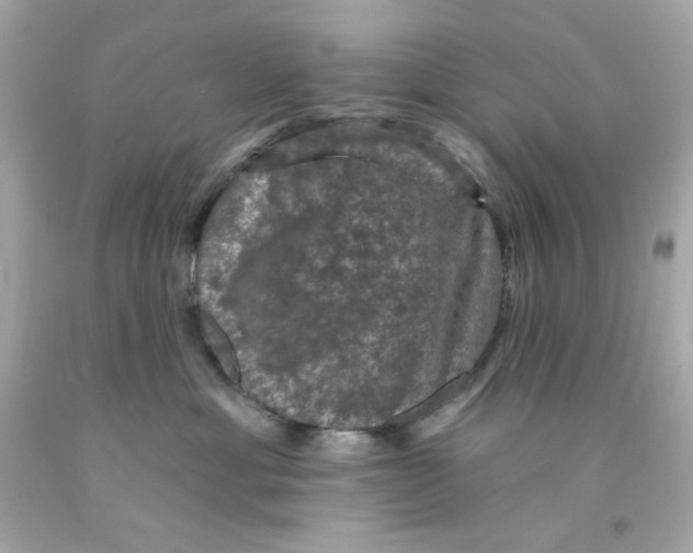 X0000093130429200710241326