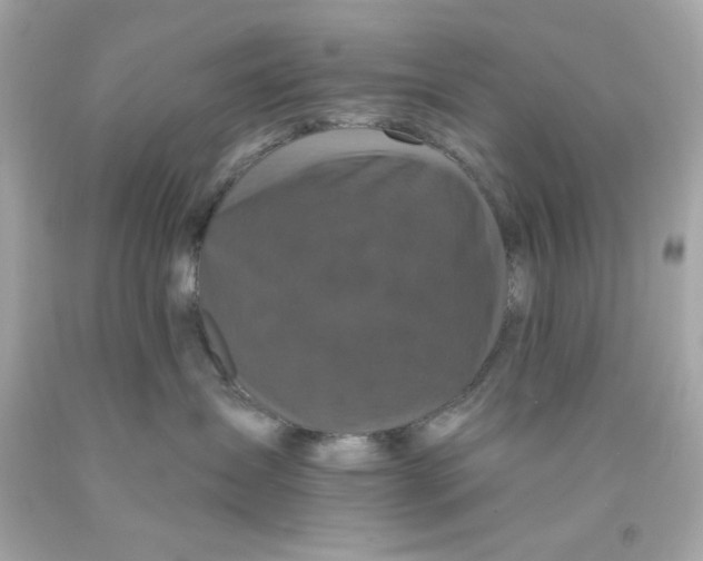 X0000093130431200710241326