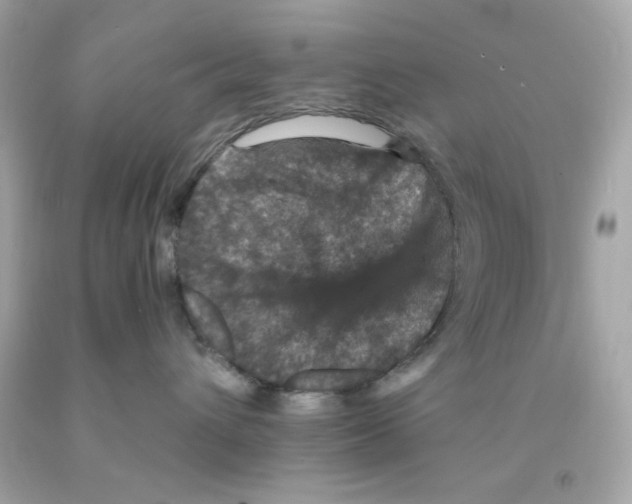 X0000093130432200710241326