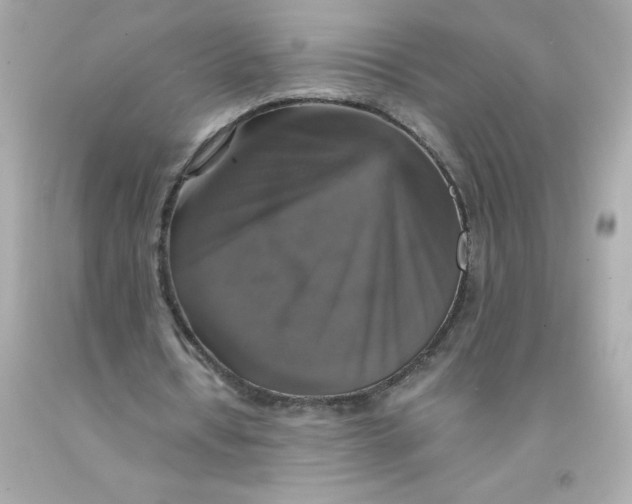 X0000093130434200710241325