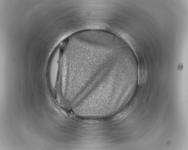 X0000093130435200710241325