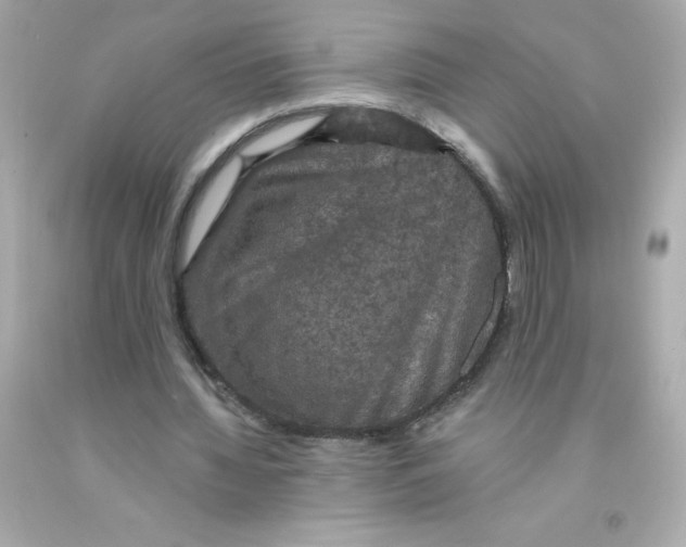 X0000093130436200710241325