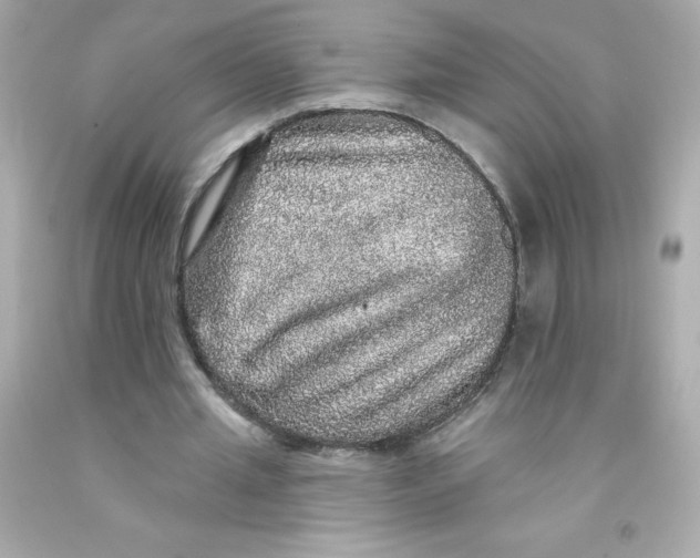 X0000093130437200710241325