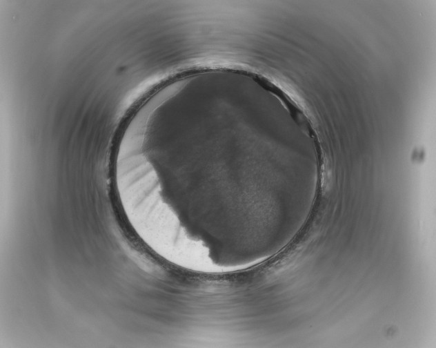 X0000093130438200710241325