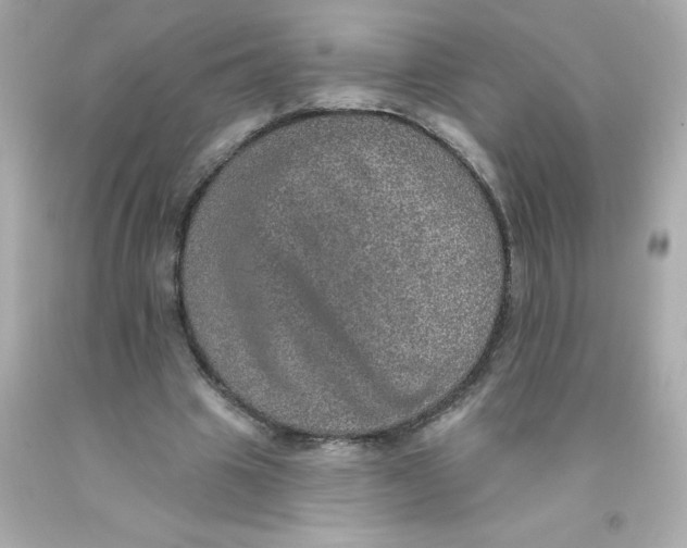 X0000093130441200710241325