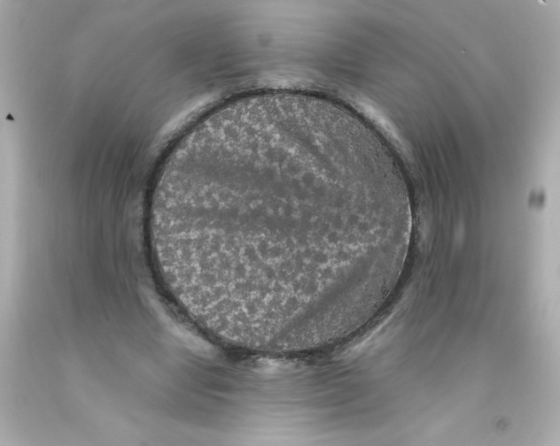 X0000093130442200710241325