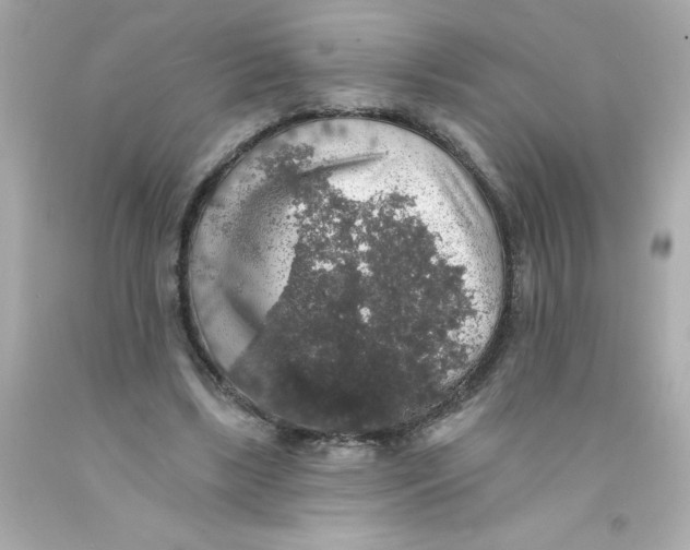 X0000093130443200710241325