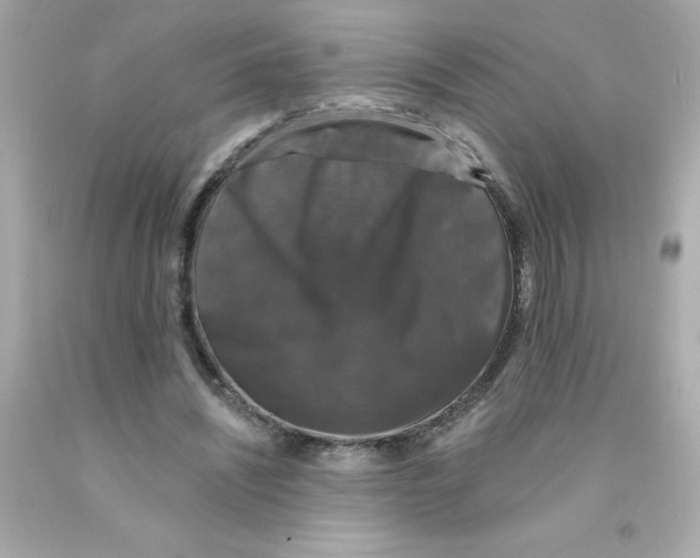 X0000093130444200710241326