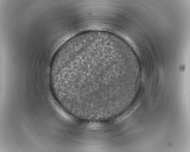 X0000093130445200710241326