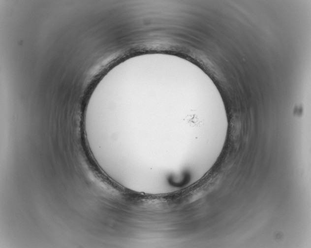 X0000093130446200710241326