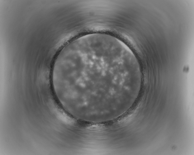 X0000093130447200710241326