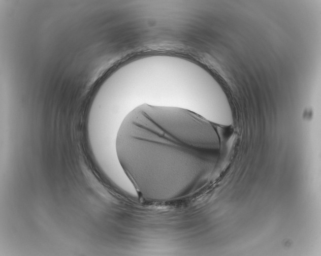X0000093130448200710241326