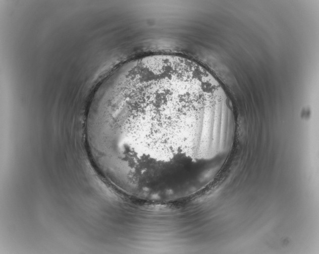 X0000093130449200710241326