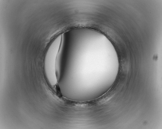 X0000093130450200710241326