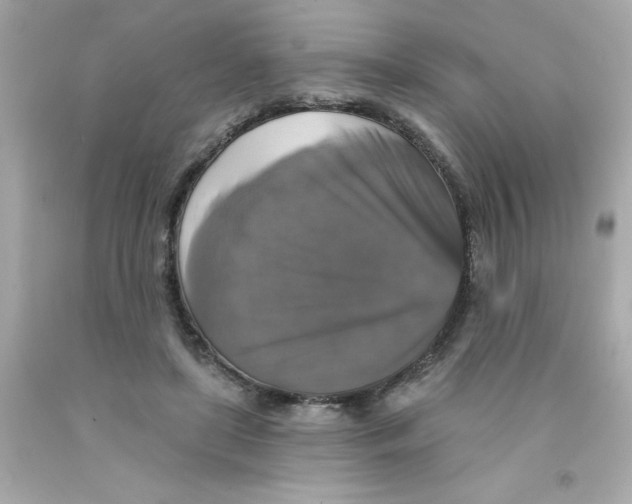 X0000093130451200710241326
