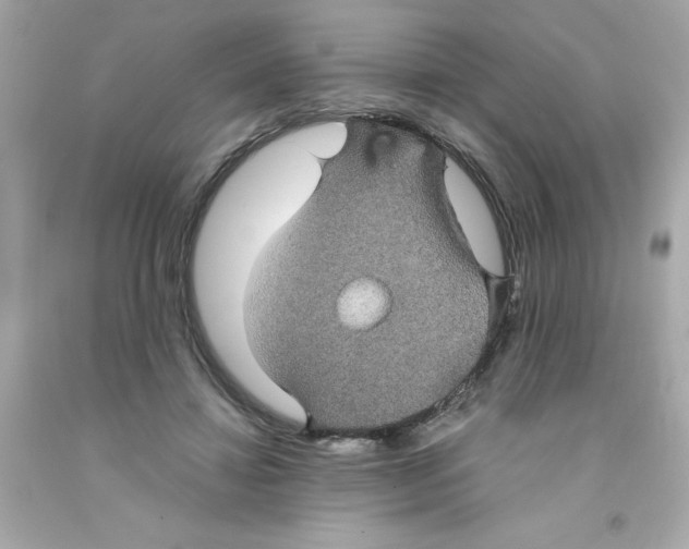 X0000093130452200710241326