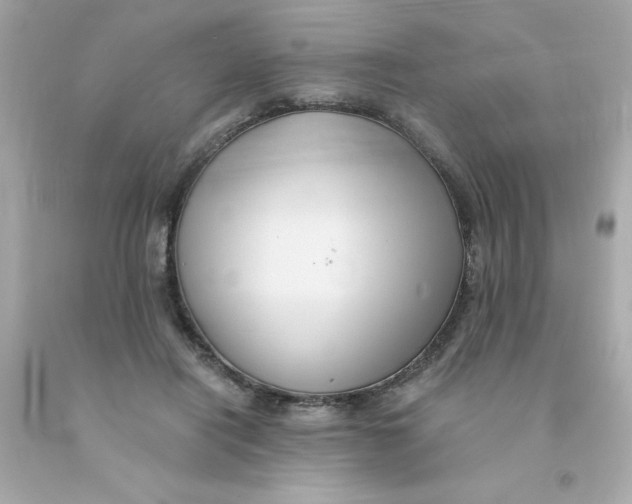 X0000093130454200710241326