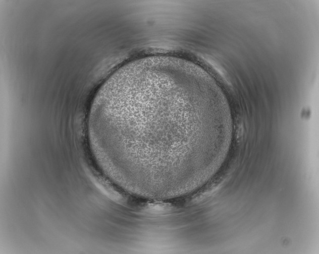 X0000093130455200710241326