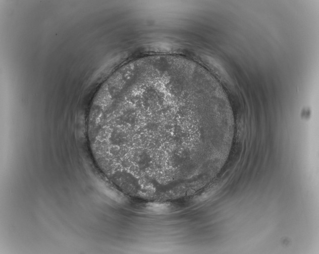 X0000093130457200710241326