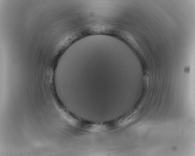 X0000093130458200710241326