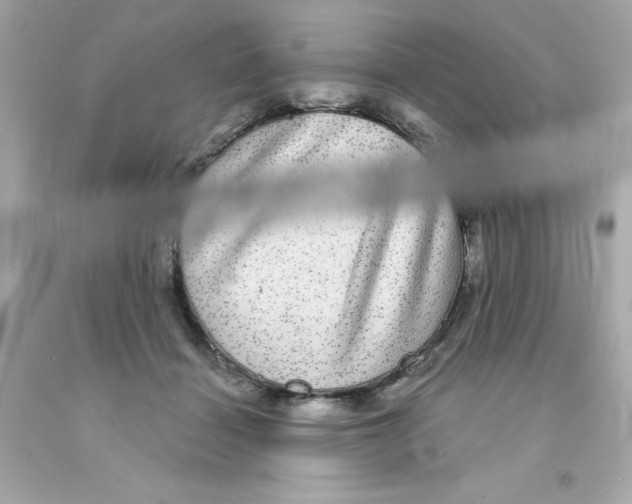 X0000093130460200710241326