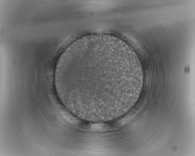 X0000093130461200710241326