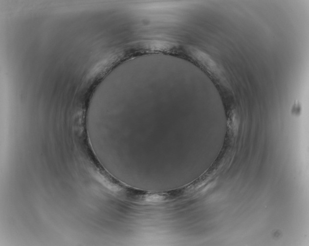 X0000093130462200710241326