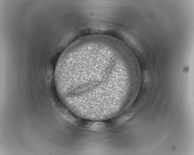 X0000093130463200710241326