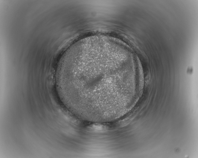 X0000093130464200710241326