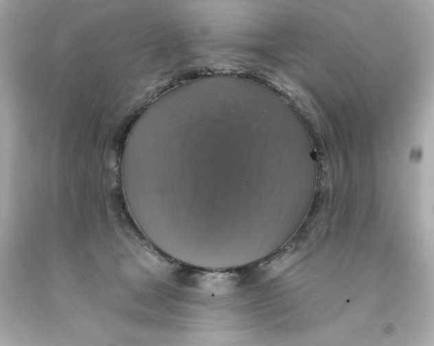 X0000093130465200710241326