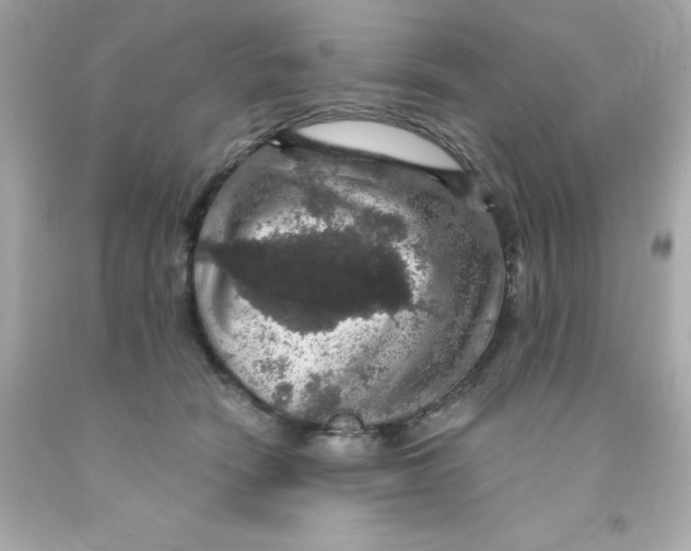 X0000093130466200710241326