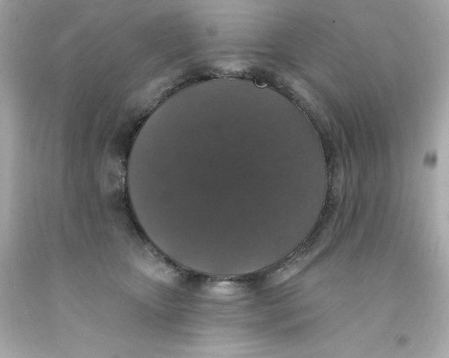 X0000093130467200710241326