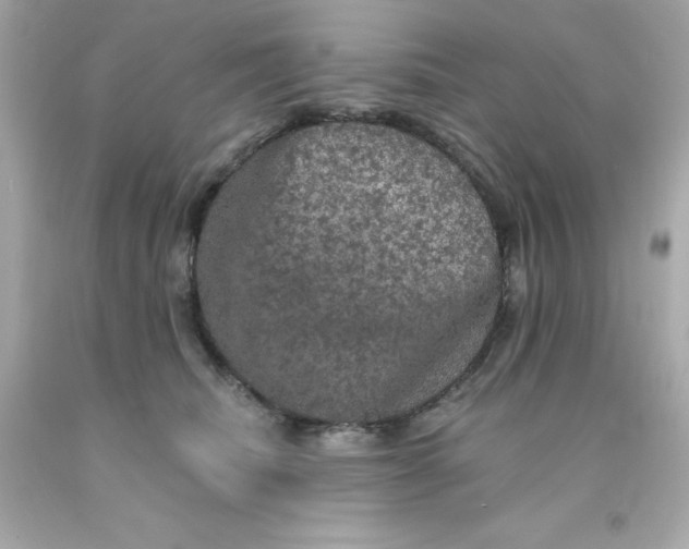 X0000093130468200710241326