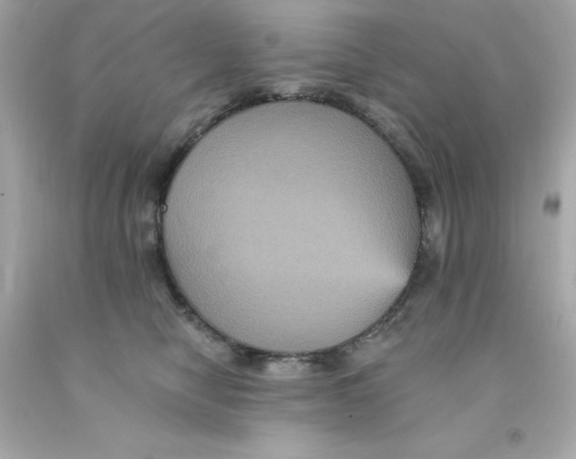 X0000093130470200710241326