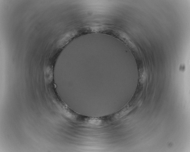 X0000093130471200710241326