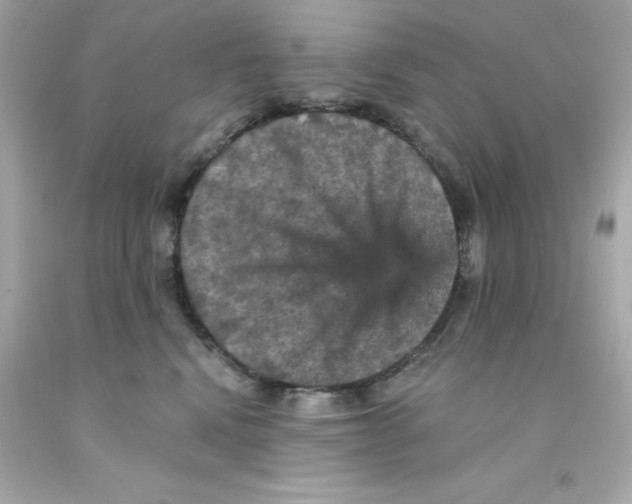 X0000093130472200710241326