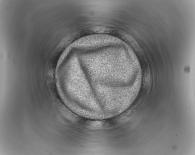 X0000093130473200710241326
