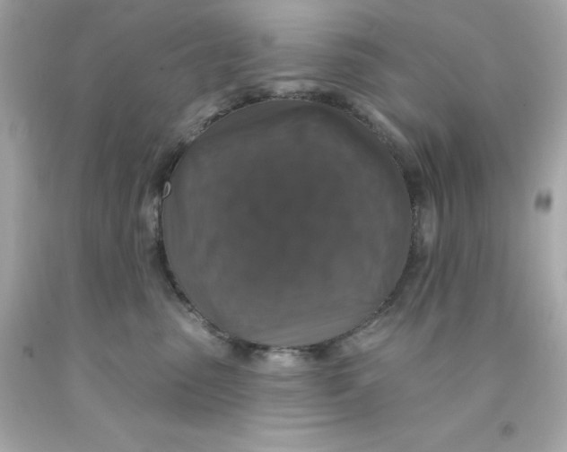 X0000093130475200710241326